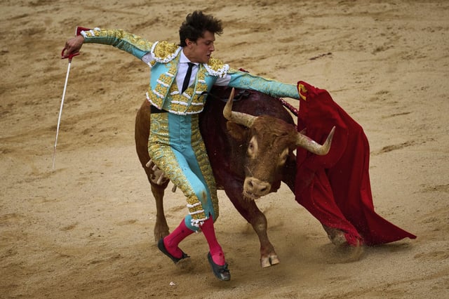 Spanien möchte eine riesige Stier-Statue bauen. Dieser Plan wird aufgrund der umstrittenen Stierkampf-Tradition Spaniens auch kritisiert. (Symbolbild)