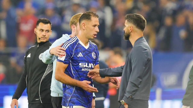 Nikola Katic