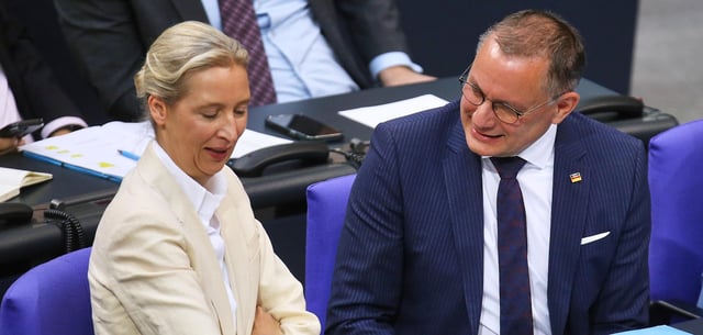 Aktuell würde laut „Insa“ jeder Vierte die AfD wählen