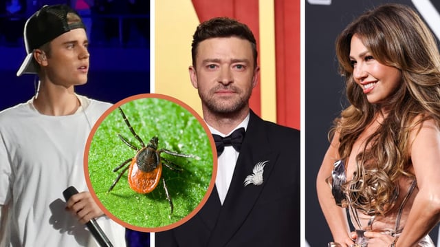 Celebridades como Bieber, Thalía y Timberlake visibilizan la enfermedad de Lyme, una infección transmitida por garrapatas. / Foto: Especial