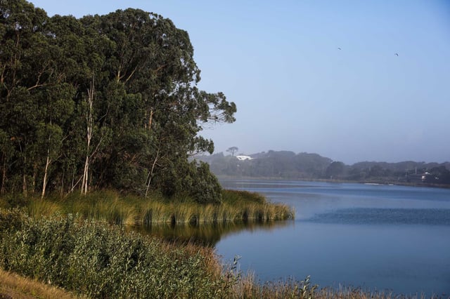 A view of Lake Merced in San Francisco, California, on Monday, Oct. 17, 2016. Firefighters rescued a man who had ventured into the lake to retrieve a remote-controlled boat on Saturday evening.