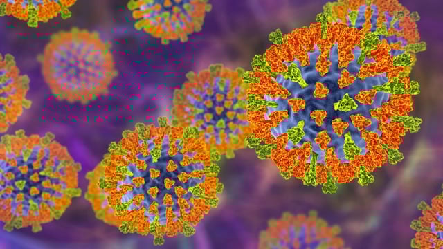 Measles is one of the most contagious of all infections (Photo: Kateryna Kon/Science Photo Library/Getty Images)
