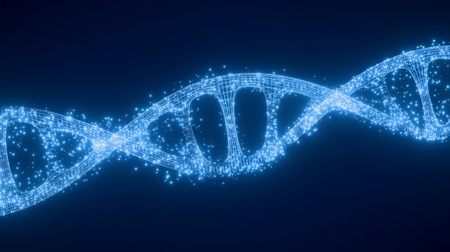 There are genes that help to regulate metabolic changes tied to hibernation. This DNA, if targeted, could be beneficial to human health, some scientists think.