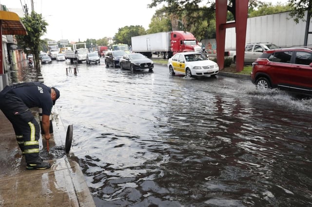 Foto: EFE/ Mario Guzmán