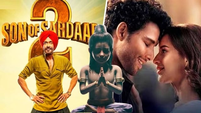 Dhadak 2 and Son Of Sardaar 2 box office collection | Image: IMDb