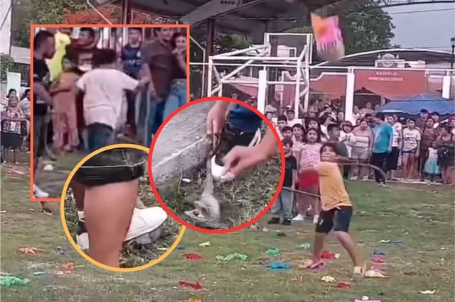 Piden sanciones por caso de maltrato animal en Campeche: colocaban animales vivos en piñatas de barro. | Crédito: captura en Facebook