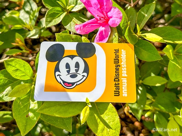 Annual Pass