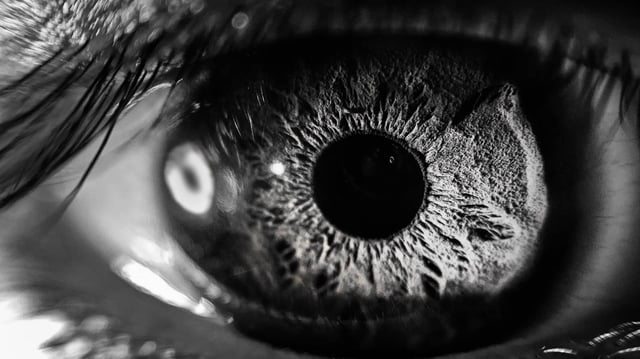 Identical twins have unique irises | Image: Nathan DeFiesta/Unsplash