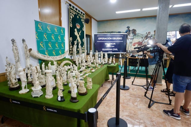 La Guardia Civil confisca 127 piezas de marfil antiguo, valoradas en 226.630 euros, que iban a ser vendidas de forma ilegal. Hay una detenida y cuatro investigados.