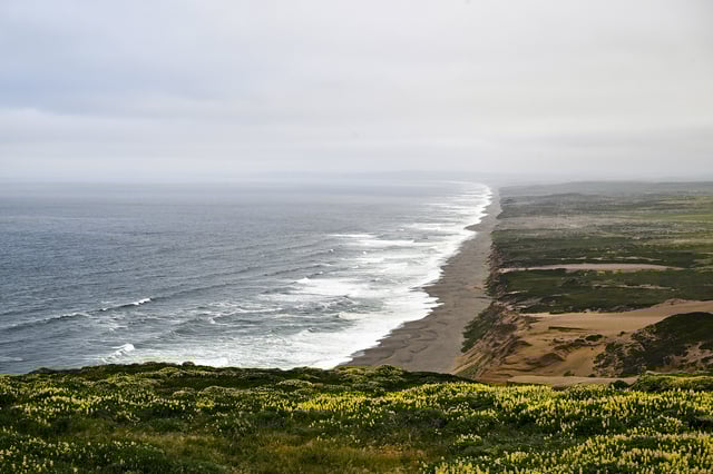 An aerial view of Point Reyes National Seashore in Inverness, Calif., on May 31, 2023.