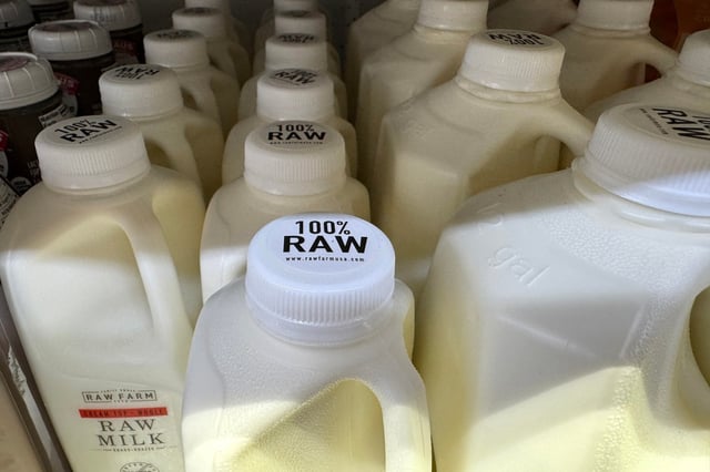 BERKELEY, CALIFORNIA – NOVEMBER 25: Containers of Raw Farm raw milk are displayed on a shelf at Berkeley Bowl on November 25, 2024 in Berkeley, California. Fresno County dairy Raw Farm has recalled its cream top raw milk after bird flu virus was found in a retail sample of the raw milk product over the weekend. Consumers should avoid consumption of the milk and are encouraged to return the product to the store where it was purchased. (Photo by Justin Sullivan/Getty Images)
