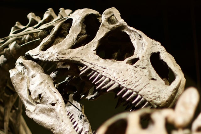 Who knew that the enamel on fossilized dinosaur teeth contained secrets – like ancient isotropic traces of oxygen?