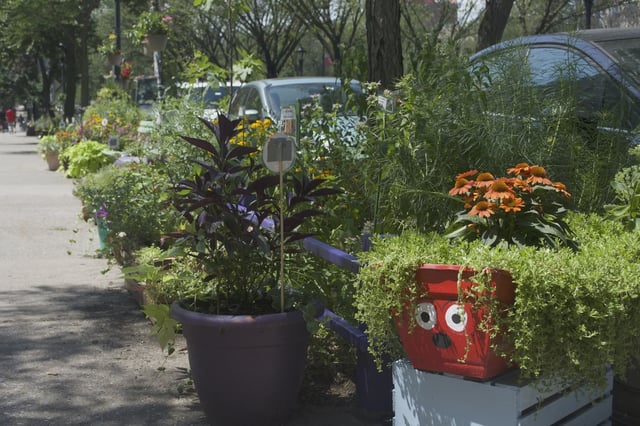 This year's winner of the residential category in the Greenest Block in Brooklyn contest, the stretch of Eastern Parkway between Franklin and Bedford avenues