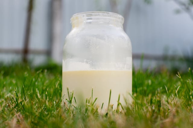 A glass jar with non-homogenized whole milk.