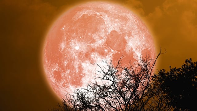 Luna llena de esturión de agosto