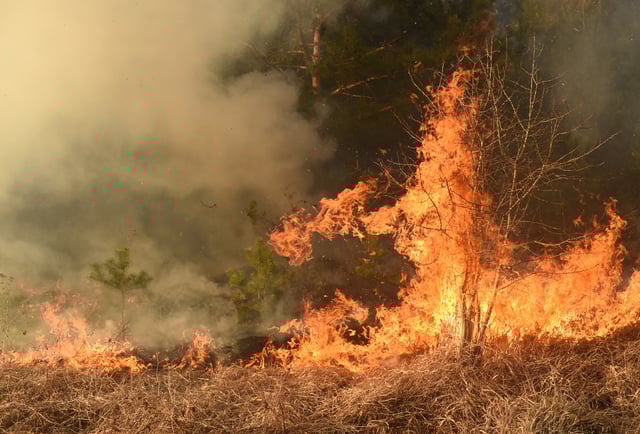 Les pompiers de l’Hérault luttent actuellement contre un incendie sur la commune de Montagnac.