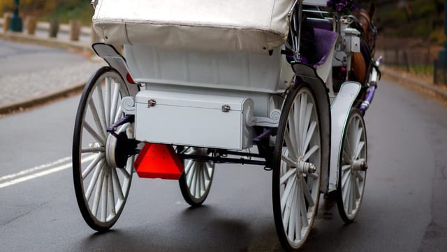 Carriage horse (Shutterstock)