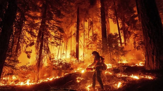Wildfires