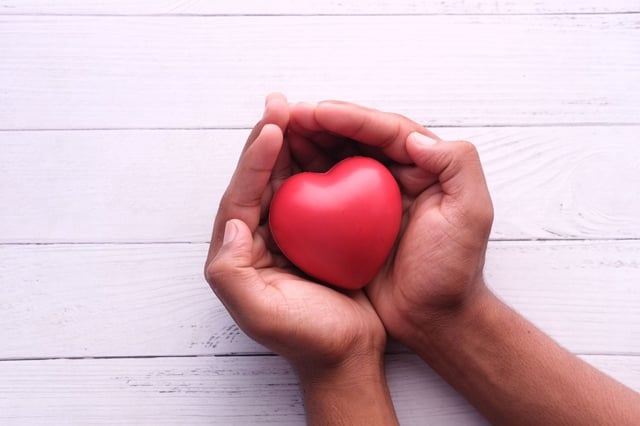 Este es el cuarto corazón trasladado a Nuevo León en 2025. | Crédito: canva