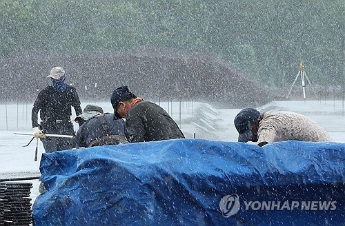 Workers place a tarpaulin over construction materials to protect them from rain at a construction site on Jeju Island on Aug. 6, 2025. (Yonhap)