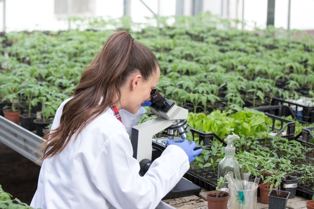 El 6 de agosto es el Día del Ingeniero Agrónomo en la Argentina
