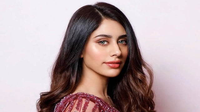 Loveyatri Fame Warina Hussain Officially Changes Name To ‘Hira Warina’ For THIS Reason