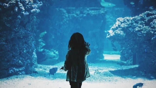 A viral video shows a giant aquarium shattering and crashing down on a crowd of onlookers.