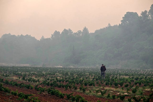 Un agriculteur marche dans son champ au milieu de la fumée alors qu’un incendie fait rage près de Fontjoncouse, dans l’Aude, le 6 août.