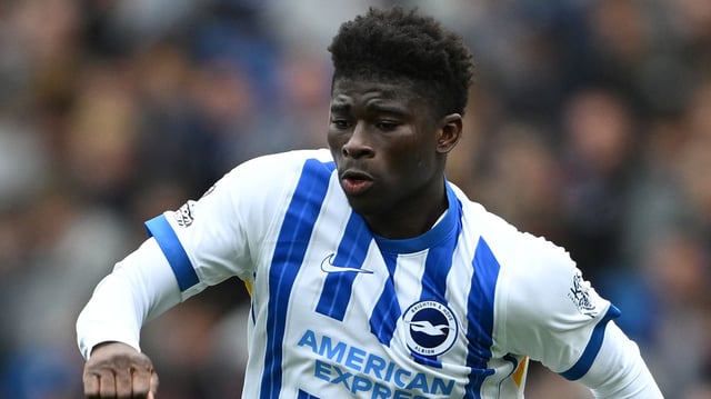 Brighton & Hove Albion FC v Newcastle United FC - Premier League
