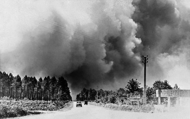 Le 22 août 1949, un incendie a ravagé 50 000 hectares dans les Landes de Gascogne.