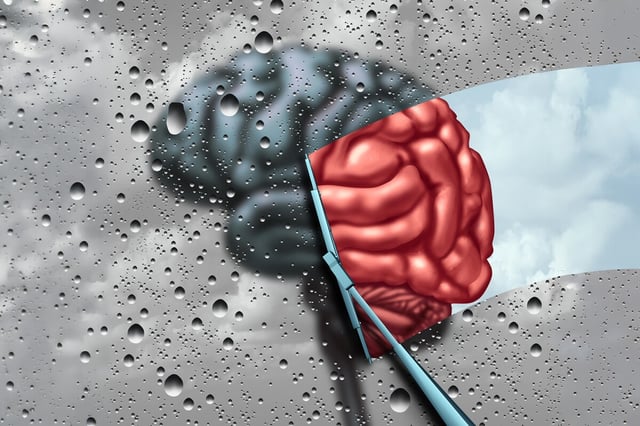 Combining two natural compounds revives the brain's cleanup processes