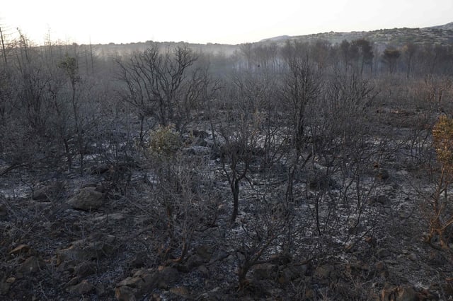 Desolación tras el paso del fuego en el incendio del sur de Francia