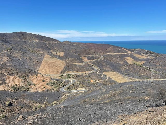 Sur cette terre catalane où souffle la tramontane, le passé a montré que les incendies peuvent détruire tout un écosystème en un rien de temps et mettre en péril des vies humaines.