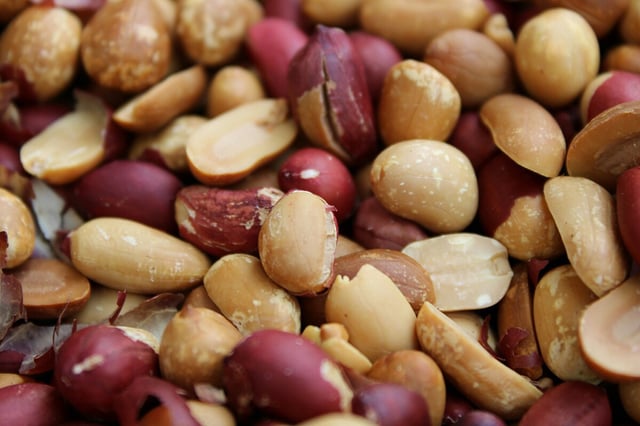 Peanuts, along with shellfish and cow's milk, are among the most common foods that 1 in 10 people in the US are allergic to