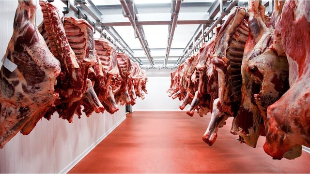 Chile y un golpe a la exportación de carne argentina.