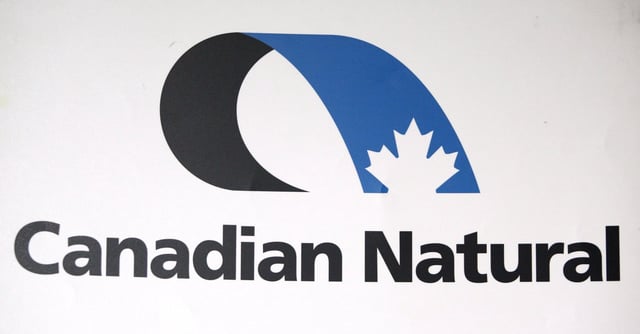 Canadian Natural Resources Ltd., at the company's annual meeting in Calgary on May 3, 2012. THE CANADIAN PRESS/Jeff McIntosh