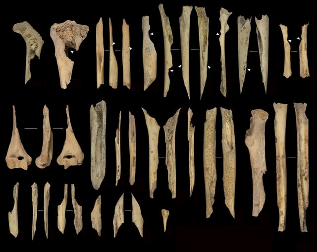 Researchers found hundreds of bones with signs of cannibalization. 