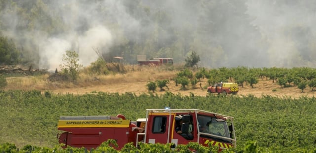 Des véhicules de pompiers près d'une zone forestière en feu à Saint-Laurent-de-la-Cabrerisse, dans l'Aude, le 7 août 2025