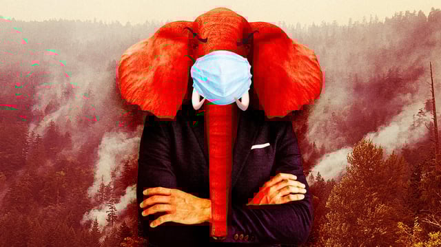 A photo illustration of a red elephant man in a suit in front of Canada wildfires.