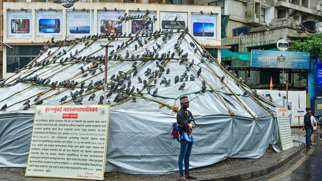 A kabutarkhana in Mumbai which has been covered by the BMC (Photo: PTI)