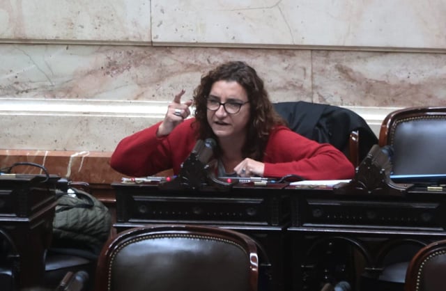 Sesión en Diputados para tratar el caso $Libra y jubilaciones. Vanina Biasi