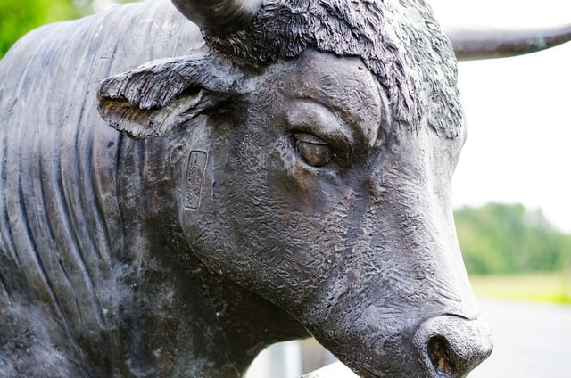 Ether, dogecoin rally as xrp soars 12% in altcoin led crypto surge