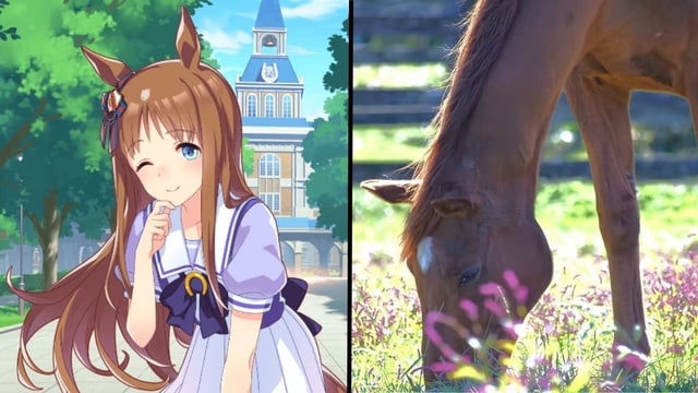 Anime horse girl with real horse