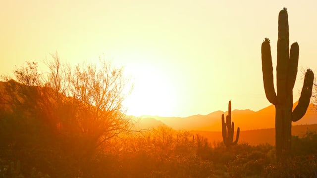 Phoenix, Arizona.