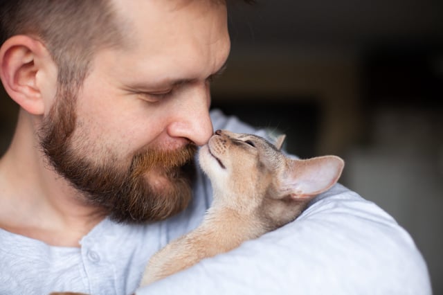 El 8 de agosto es el Día del Gato en todo el mundo