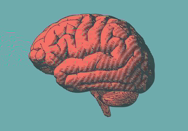 Engraving brain in retro orange color on turquoise green background