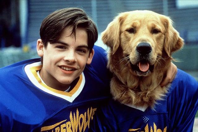 Kevin Zegers as Josh Framm and Air Bud in the '90s.
