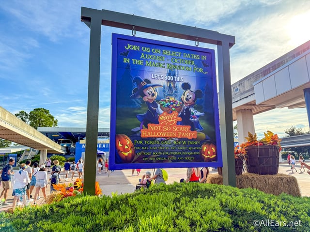 The first Halloween decorations have arrived!