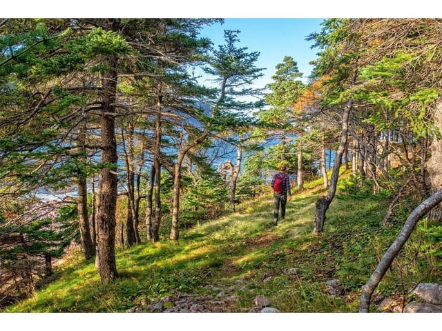 Hiking and ATV use are still allowed in Newfoundland and Labrador during the current ban on open fires, but there are some concerns people may be putting themselves and first responders at risk should they need to be evacuated in an emergency situation while the province's firefighting resources are stretched to the limit elsewhere.