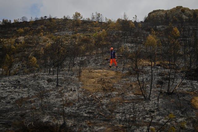 A forestry worker operates during France's largest wildfire in decades in Fontjoncouse, southern France, Friday, Aug. 8, 2025. (AP Photo/Manu Fernandez)